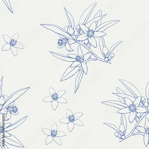 Neroli flowers Vector seamless pattern. Blue beige. Orange Citrus twigs. Line art Hand drawn botanical illustration. Background for design cosmetic, perfumery, branding, package. Medicinal plant