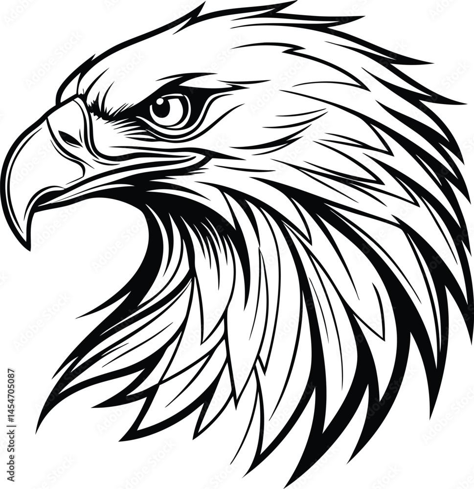 Fototapeta premium eagle head vector illustration