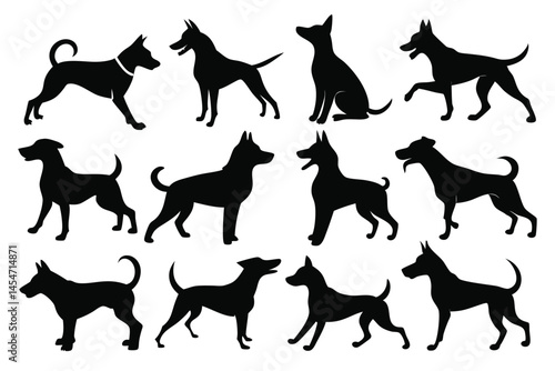 Vector, Isolated Black Silhouette of a Dog – Pet Animal Icon Collection