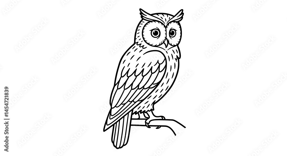 Fototapeta premium Stylized Line Art Illustration of a Majestic Owl