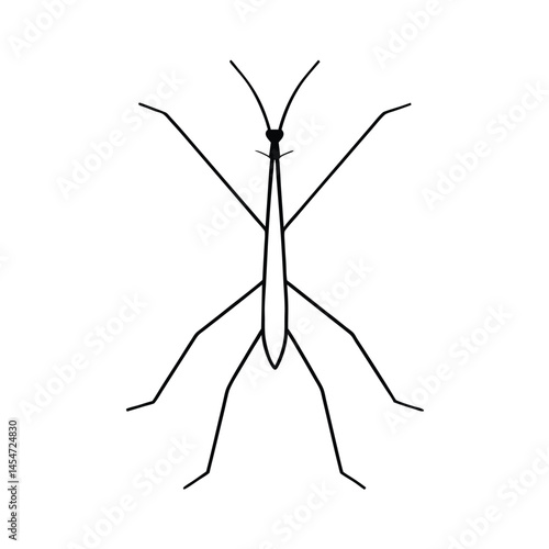 Stick Insect vector line art