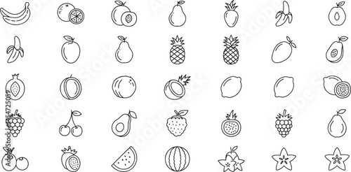 Collection of various fruit in a line art style	