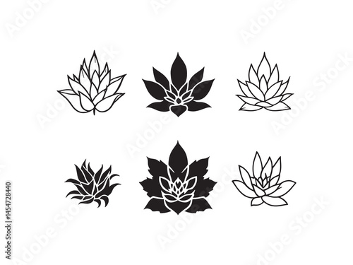 Line art vector of Sempervivum leaf on white background