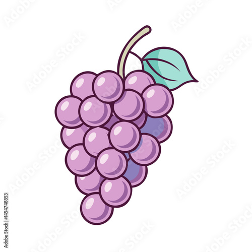 Illustration of fresh grapes with leaf, purple grape bunch drawing for healthy food design
