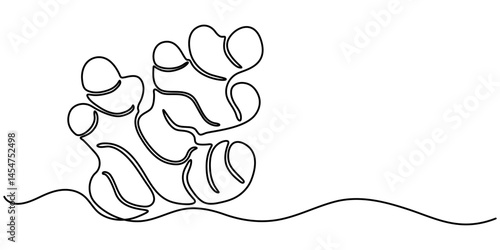 Ginger continuous one line drawing , One continuous line drawing healthy organic ginger for farm logo identity, Single one line drawing ginger vegetable concept continuous line draw design. 