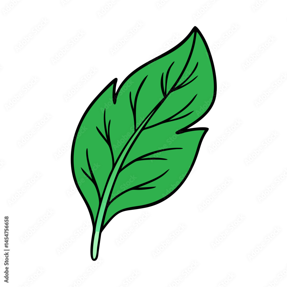 Naklejka premium Illustration of a green leaf plant leaf nature leaf vector leaf design leaf art leaf drawing leaf icon