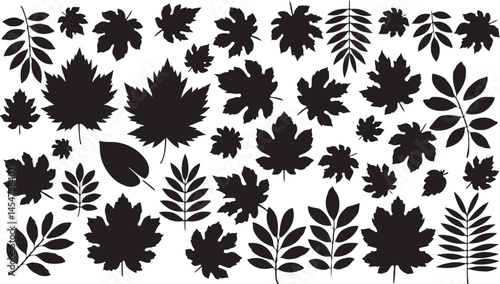 A vector illustration of black silhouette leaves set against a white background, with a variety of shapes and sizes, including veined leaves.