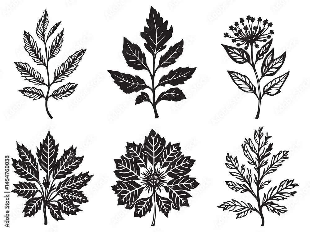 Fototapeta premium Minimalist Aster Botanical Line Drawing Design