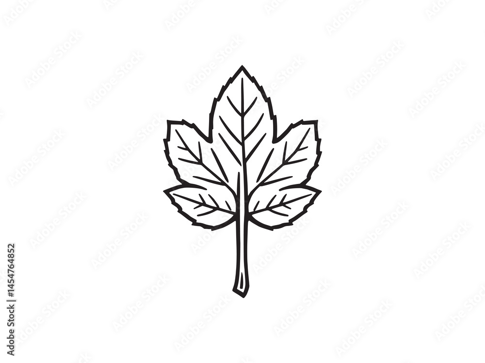 Fototapeta premium Minimalist chestnut leaf contour sketch design