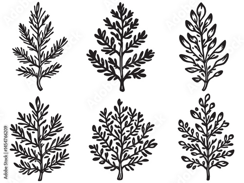 Minimalist Cypress Leaf Vector in Clean Line Style