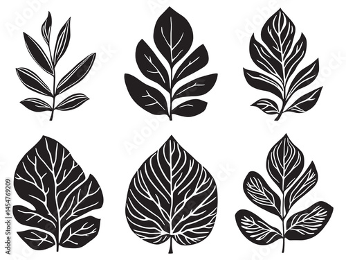 Minimalist Haworthia Leaf Illustration with Clean Lines