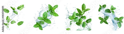 Set of Fresh mint leaves immersed in dynamic clean water splash with detailed water splatters, bright on transparent png background. Ai generated