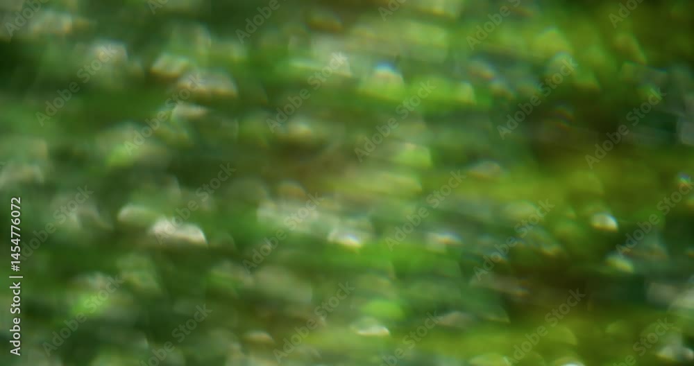 Bokeh art. Blurred shiny. White green colorful lens flare motion on blue purple sparkling light abstract modern glimmer background. Bokeh art. Blurred shiny. White green colorful lens flare motion on blue purple sparkling light abstract modern glimmer background.