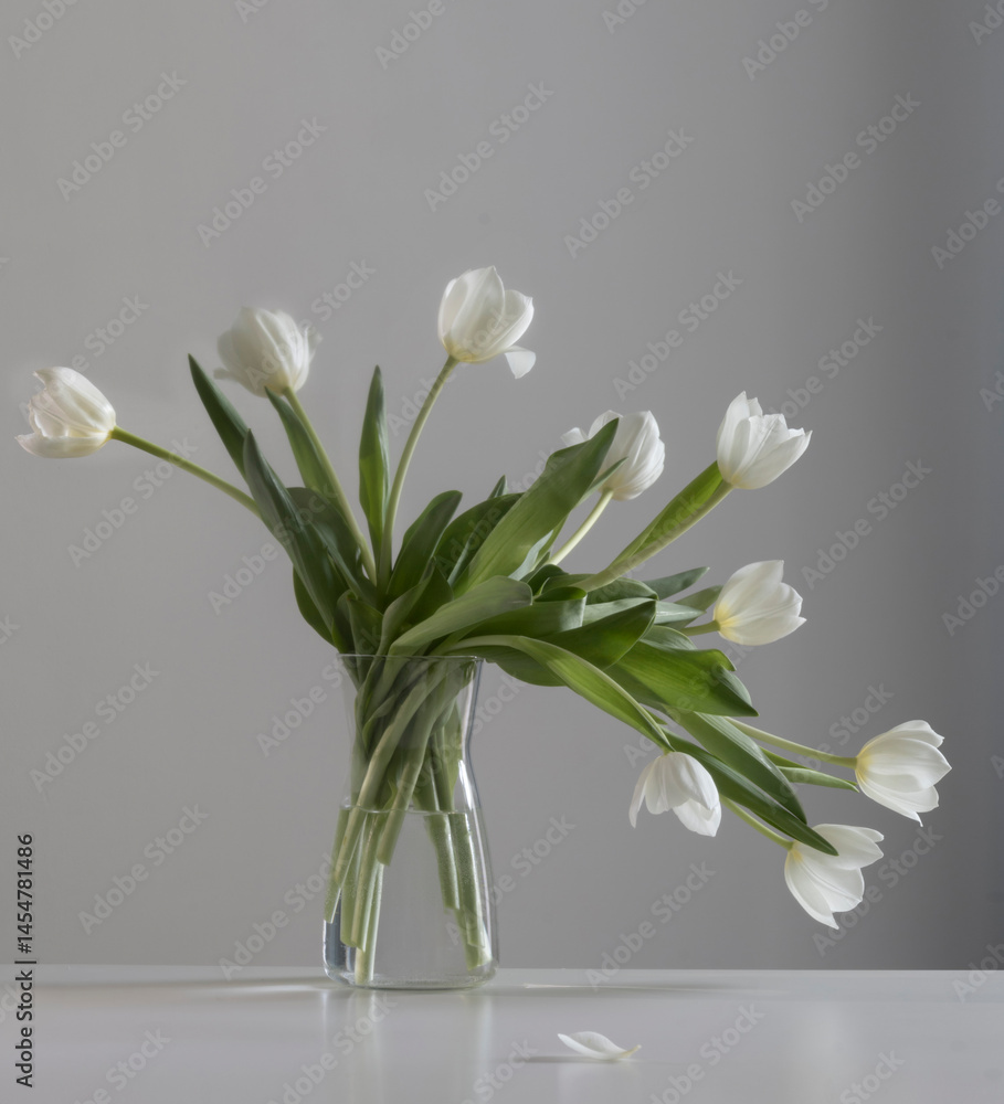 white tulips in glass vase in white interior