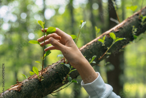 Hand reaches gently toward a fresh green sprout on a forest branch, capturing a quiet moment of connection with nature