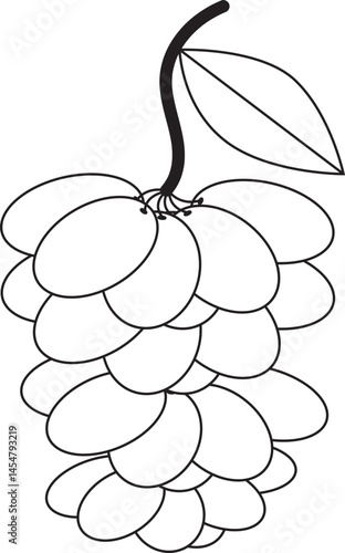 Fotografie vector illustration of bunch of grapes