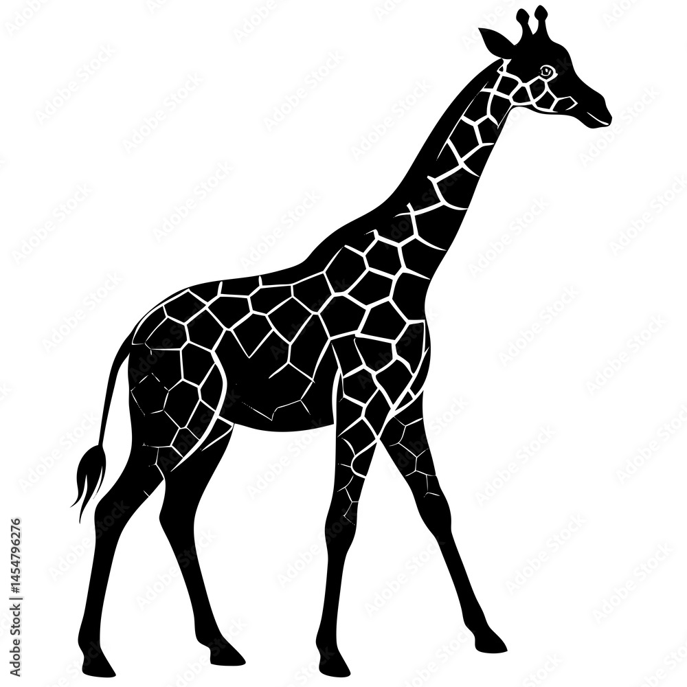 Naklejka premium Giraffe Silhuoette on White Background