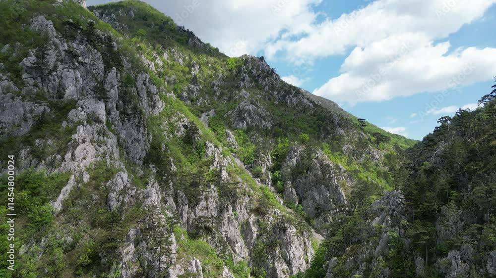 Flight over a forest of black pines in Tasnei Gorges. Footage taken on 2nd of May 2025 on the Tasnei Gorges, near Baile Herculane, in the National Park Domogled-Cerna Valley, Romania. Flight over a forest of black pines in Tasnei Gorges. Footage taken on 2nd of May 2025 on the Tasnei Gorges, near Baile Herculane, in the National Park Domogled-Cerna Valley, Romania.