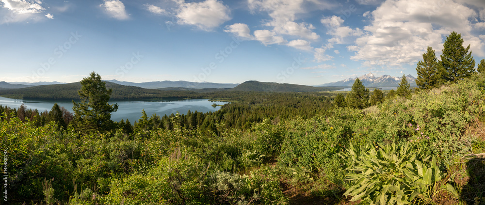 Wilderness of Grand Teton in front of Distant Two Ocean Lake