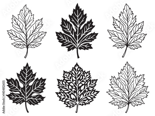 Minimalist sycamore leaf contour drawing for design projects