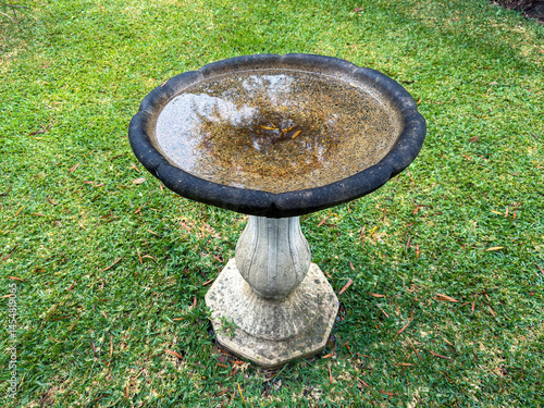 Photograph of a birdbath in a domestic garden that is full of fresh water from a heavy downpour of rain during a storm.