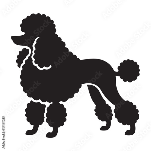 Elegant poodle dog silhouette vector illustration for pet lovers