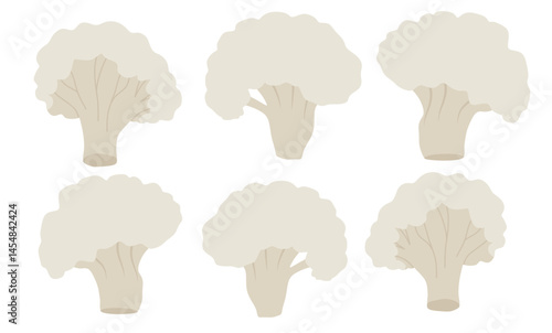 Cauliflower Vegetable icon set in the flat style on white background.