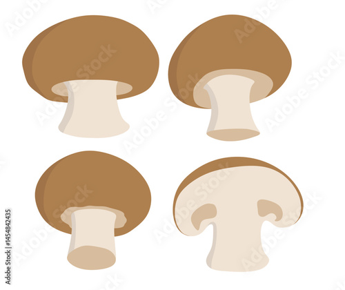 Mushroom champignon  icon set in the flat style on white background.