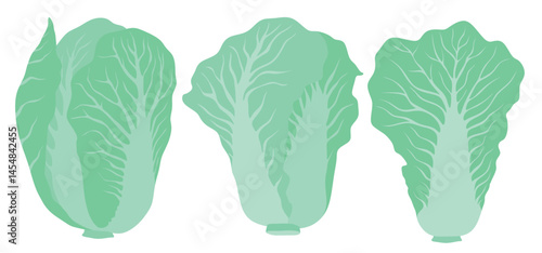 Chinese cabbage icon set in the flat style on white background.