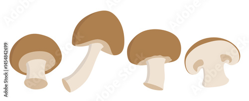 Mushroom champignon  icon set in the flat style on white background.