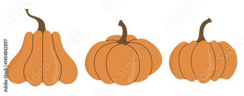 Pumpkin vegetable icon set in the flat style on white background.