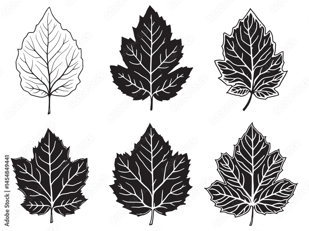 Obraz premium Minimalistic redbud leaf line art for decoration