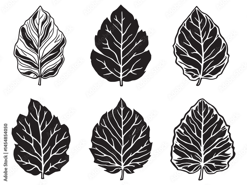 Fototapeta premium Minimalistic vector design of date tree leaf