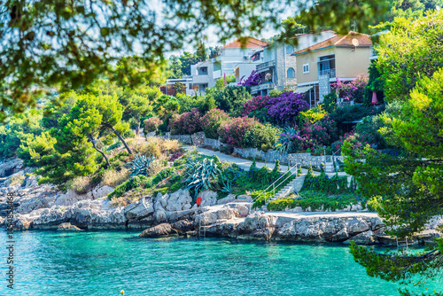 Fototapeta Naklejka Na Ścianę i Meble -  mediterranean village with variety of colourful  tropical flowers on the coast of Adriatic Sea.