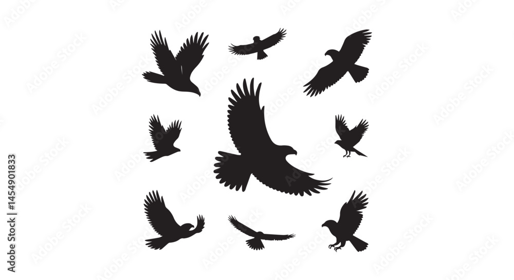 Obraz premium Flying Birds Silhouette Set, Bird Flight Vector Art