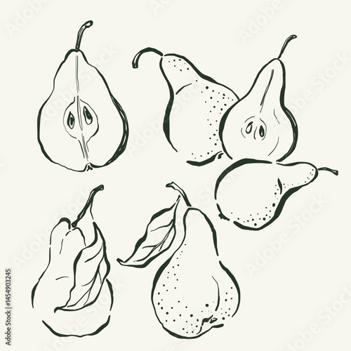 Vector fruit doodle illustration of pears. Hand-drawn garden harvest sketch. Organic farm graphics. Tasty food for design, veggie market drawing print, fabric or background.