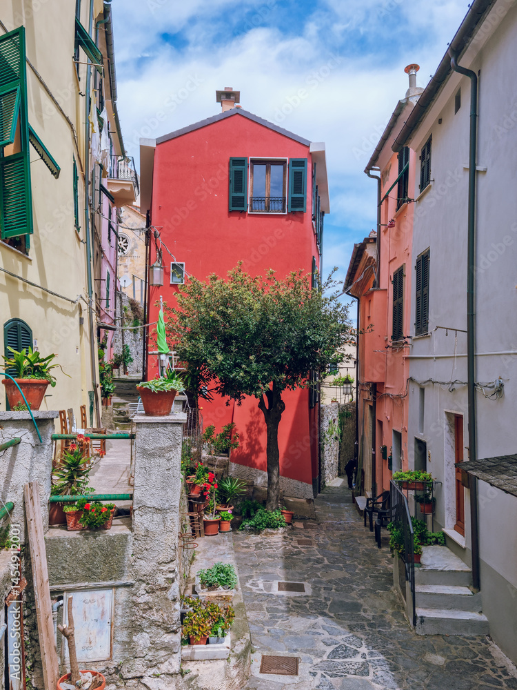 Obraz premium Court with flowers between colorful houses in Porto Venere, best boat trip from La Spezia, Liguria, Italy