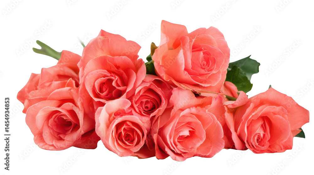 Obraz premium Bouquet of fresh coral roses on a white background, png, transparent