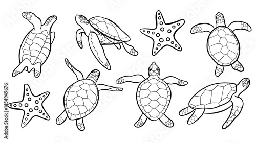 Sea Turtle Line Silhouette Vector Collection