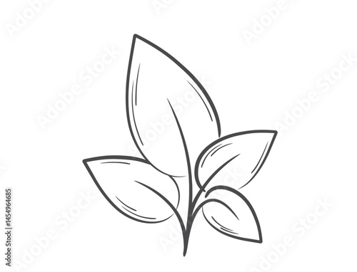 Plant line illustration. Nature and planting design element. Isolated vector image