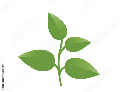 Green plant sprout with four leaves illustration. Spring, planting and nature design element. Isolated vector image