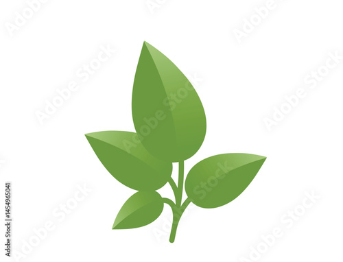 Green plant with four leaves. Nature, spring and planting design element. Isolated vector image