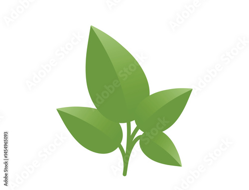 Green plant with leaves. Nature and planting design element. Isolated vector image