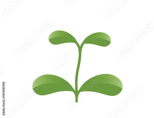 Green spring growing plant sprout illustration. Nature and planting design element. Isolated vector image