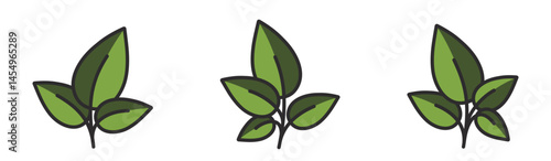 Set of plant in green colors. Spring, planting and nature design element. Isolated vector image