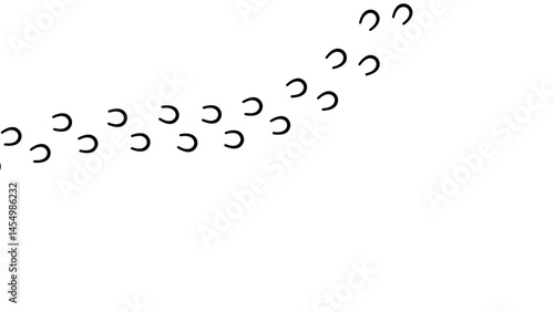 Path footprints of shod horse, pony. Track of horseshoes of donkey, mule. Shod hooves. Silhouette. Horse trail. Black Vector isolated on white. For print, textile, postcard, design, games, pet store.