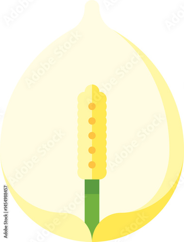 peace lily illustration on a white background    