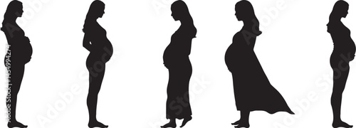 Pregnant Woman Silhouettes Stages Pregnancy Growth Motherhood Expectant
