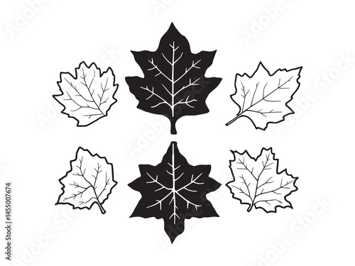 Simple sycamore leaf vector for nature themed artwork