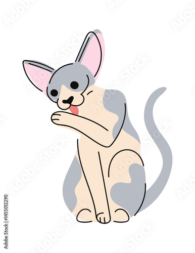 Hairless spotted sphinx hand drawn
